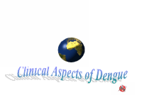 C07 P02 DENGUE CLI FEATURES.pdf